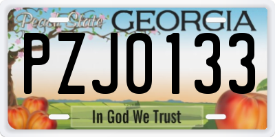 GA license plate PZJ0133