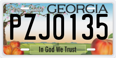 GA license plate PZJ0135