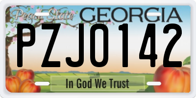 GA license plate PZJ0142