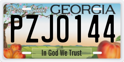GA license plate PZJ0144
