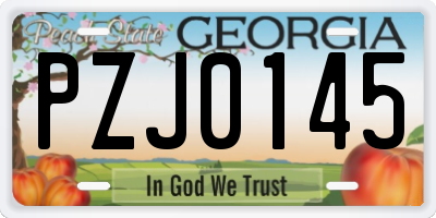 GA license plate PZJ0145