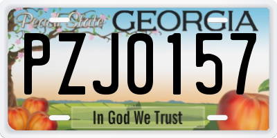 GA license plate PZJ0157