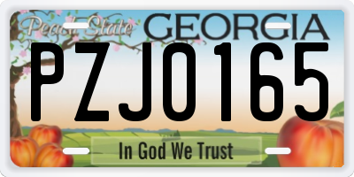 GA license plate PZJ0165