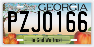 GA license plate PZJ0166