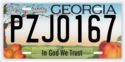 GA license plate PZJ0167