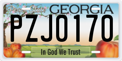 GA license plate PZJ0170