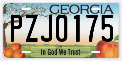 GA license plate PZJ0175