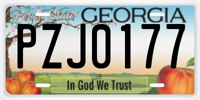 GA license plate PZJ0177