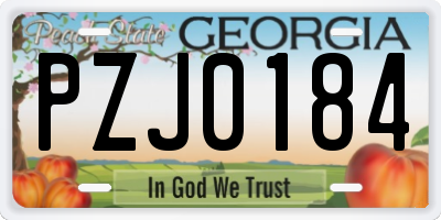 GA license plate PZJ0184