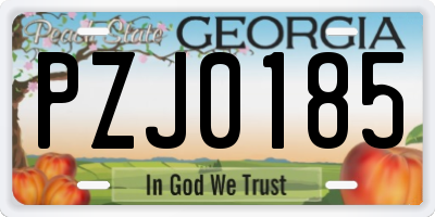 GA license plate PZJ0185
