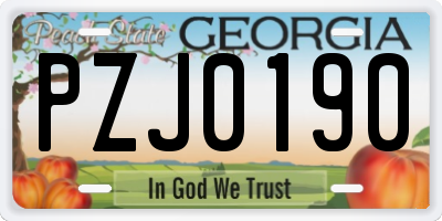 GA license plate PZJ0190