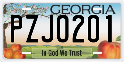 GA license plate PZJ0201