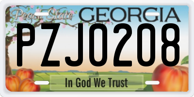 GA license plate PZJ0208