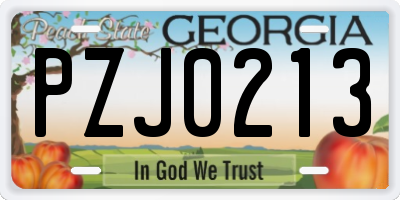 GA license plate PZJ0213