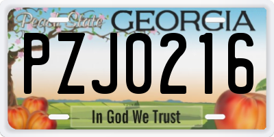 GA license plate PZJ0216
