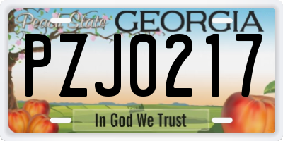 GA license plate PZJ0217