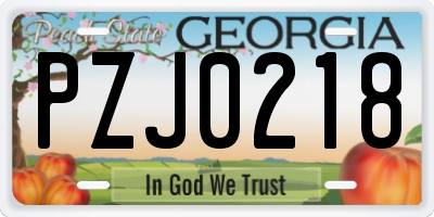 GA license plate PZJ0218