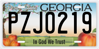GA license plate PZJ0219