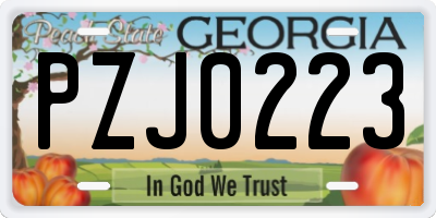 GA license plate PZJ0223