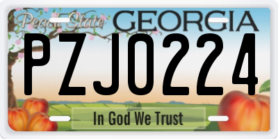 GA license plate PZJ0224