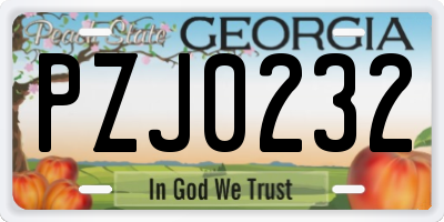 GA license plate PZJ0232