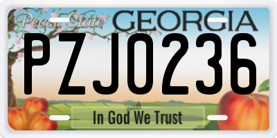 GA license plate PZJ0236