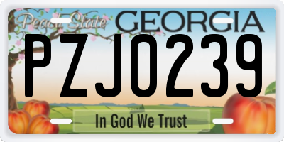 GA license plate PZJ0239
