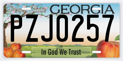 GA license plate PZJ0257