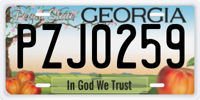 GA license plate PZJ0259