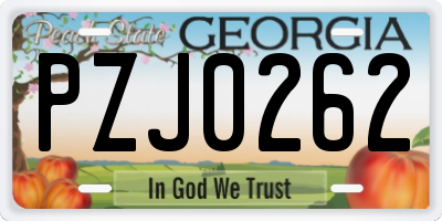 GA license plate PZJ0262