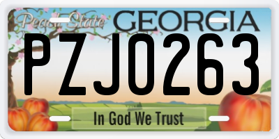 GA license plate PZJ0263