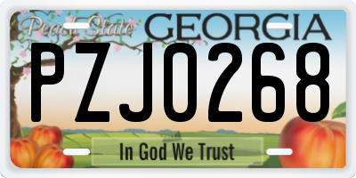 GA license plate PZJ0268