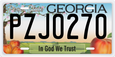 GA license plate PZJ0270