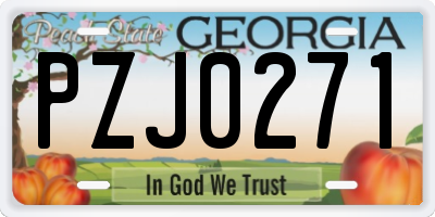 GA license plate PZJ0271
