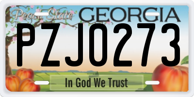 GA license plate PZJ0273