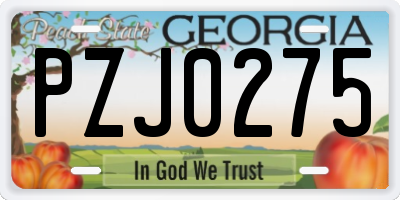GA license plate PZJ0275