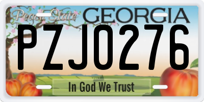 GA license plate PZJ0276