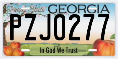 GA license plate PZJ0277
