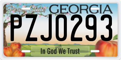 GA license plate PZJ0293