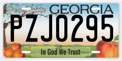 GA license plate PZJ0295