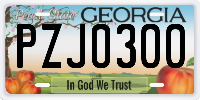 GA license plate PZJ0300