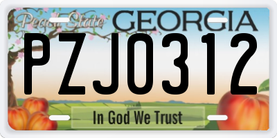 GA license plate PZJ0312