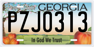 GA license plate PZJ0313
