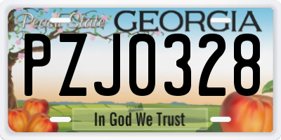 GA license plate PZJ0328