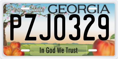 GA license plate PZJ0329