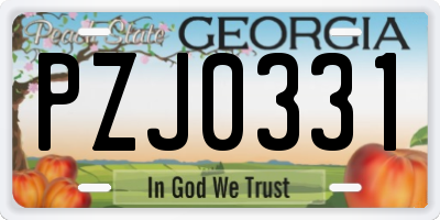 GA license plate PZJ0331