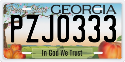 GA license plate PZJ0333