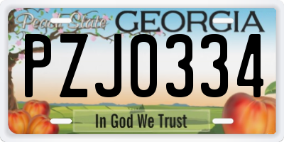 GA license plate PZJ0334