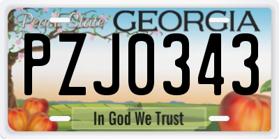 GA license plate PZJ0343