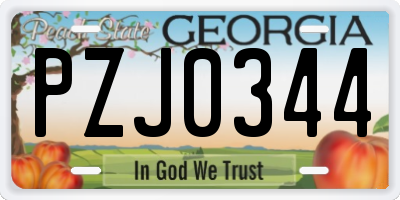 GA license plate PZJ0344